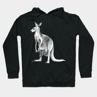 Kangaroo + Joey Ink Drawing Hoodie